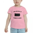 thumbnail image 2 of I'm A Big Deal in Pennsylvanias Cute Toddler T Shirts for Boys Girls (Pink, 4T), 2 of 5