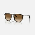 thumbnail image 2 of Sunglasses Ray-Ban RB 2203 902/51 Havana Clear Gradient Brown, 2 of 5