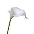 thumbnail image 2 of 1PC Artificial Calla Lily Stem,Faux Flower Elegant Yunrong Calla for Home Decoration Wedding Centerpieces Dark Purple,White, 2 of 9