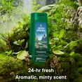 thumbnail image 6 of Limited Edition Irish Spring Yosemite Moisturizing Body Wash for Men, 24-hour Fresh, Face and Body Wash, Men’s Body Wash, Paraben Free, Fresh Mountain Stream Scent, 20 fl oz Bottle, 6 of 14