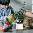 thumbnail image 6 of QCQHDU 2 Pack Plant Pot, 5 in White Plastic Indoor Planter with Drainage Holes And Removable Base, 6 of 7
