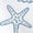 White, variant on Vintage Coastal Seashells Starfish Graphic Tees Womans T-shirt Shirts Black White S-5XL Tops
