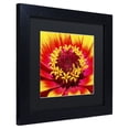 thumbnail image 3 of Trademark Fine Art "Floral Mass Coronal Ejection" Canvas Art by Kurt Shaffer, Black Matte, Black Frame, 3 of 5