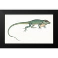 thumbnail image 2 of Unknown 18x12 Black Modern Framed Museum Art Print Titled - Antique Chameleon, 2 of 5