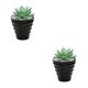 thumbnail image 4 of Injueey Bonsái Artificial paisaje interior simulación decorativa suculenta miniatura Mini plantas adornos de arreglo de escritorio Type1 NO1, 4 of 6