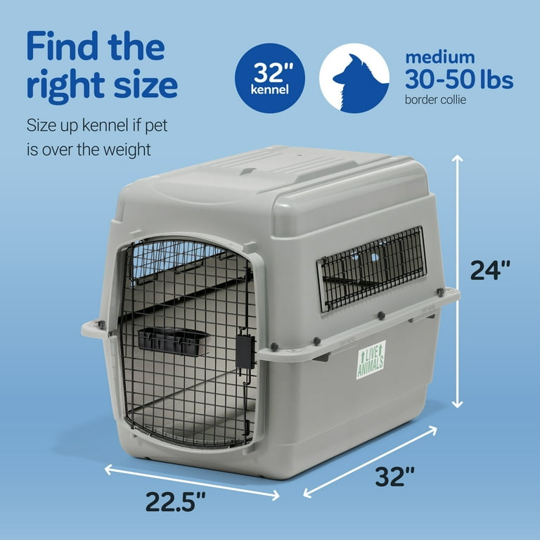 Pet Kennel American Airlines Pet Carrier Measurements Petmate Sky