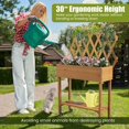 thumbnail image 4 of Laicejoy Wood Raised Garden Bed w/ Trellis, Mobile Elevated Planter for Climbing Plants w/ Storage Shelf, Lockable Wheels, Liner, 4 of 8