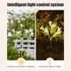 thumbnail image 5 of Lámpara De Pie De Jardín De Plástico Luces Solares De Simulación De Flores Con 42 Led Blancos Cálidos, Impermeables, Para Jardín Al Aire Libre, Decoración De Césped, Blanco, 73cm (1 Unidad) Rkxzt, 5 of 8