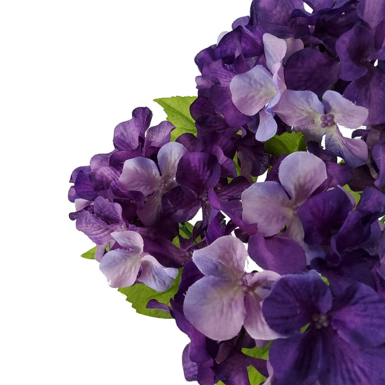 ◆Hydrangea4936◆ Lovely Lush Hydrangea in Waukesha WI - Flowers by Cammy, LLC