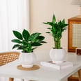 thumbnail image 3 of mdesiwst Self Watering Pot for Indoor Plants Small Plastic Flower Plant Pot with Wick Rope And Reservoir for African Violet Spider Plant Orchid, 3 of 8