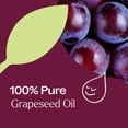 thumbnail image 5 of Plant Therapy Grapeseed Carrier Oil 16 oz Base Oil for Aromatherapy, Essential Oil or Massage use, 5 of 9