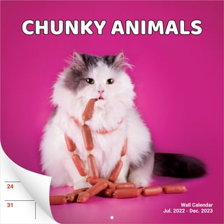 2023 Calendars in Calendars by Year - Walmart.com