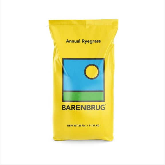 Barenbrug Annual Ryegrass Partial Shade/Sun Grass Seed 25 lb
