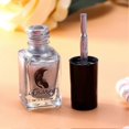 thumbnail image 5 of Fashion Metallic Mirror Silver Effect 6ml Nail Polish Metal Shinny Manicure Nail Art Tool #1, 5 of 5
