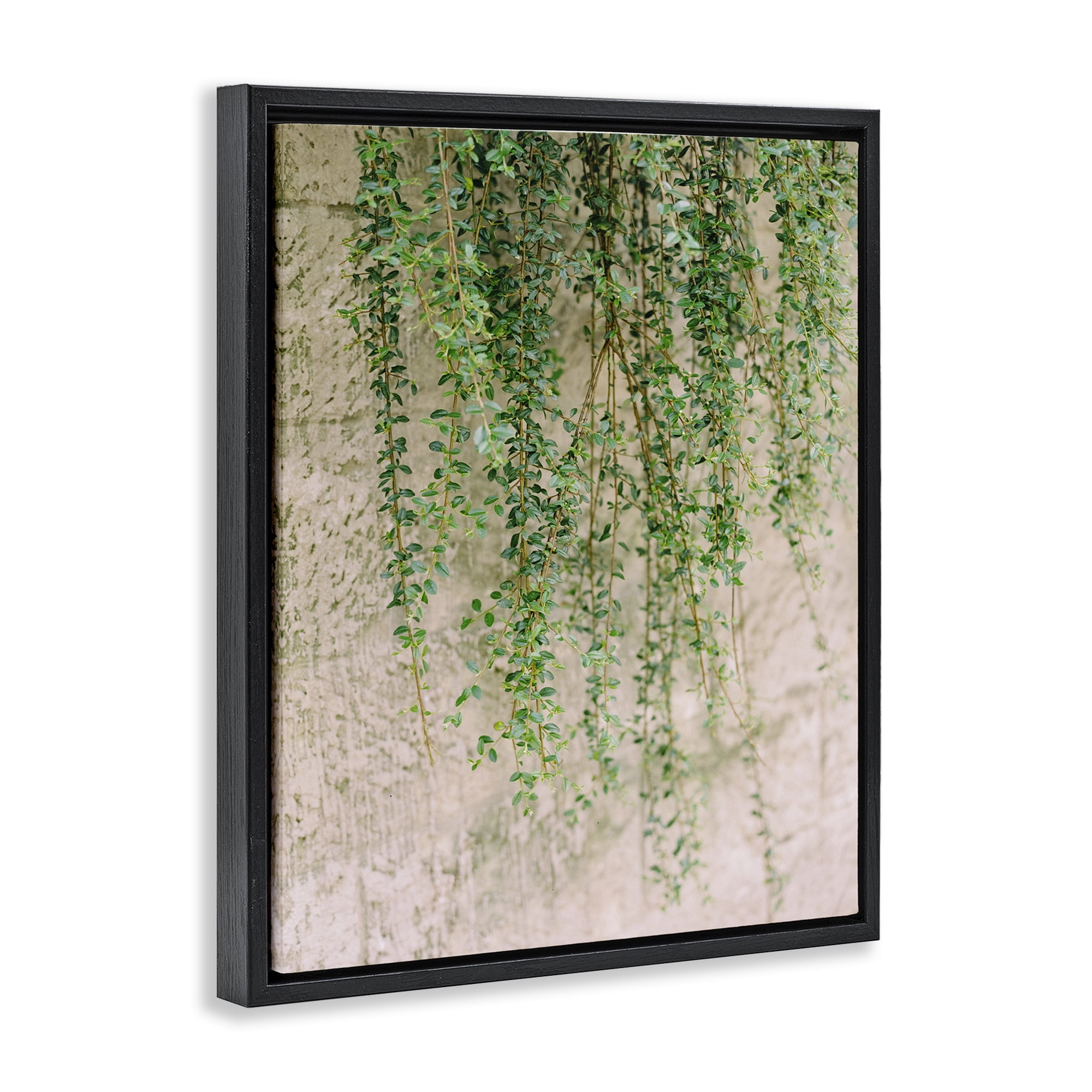 Stupell Industries Hanging Ivy Vines Botanical & Floral Photography Black Floater Framed Art Print Wall Art, 17 x 21