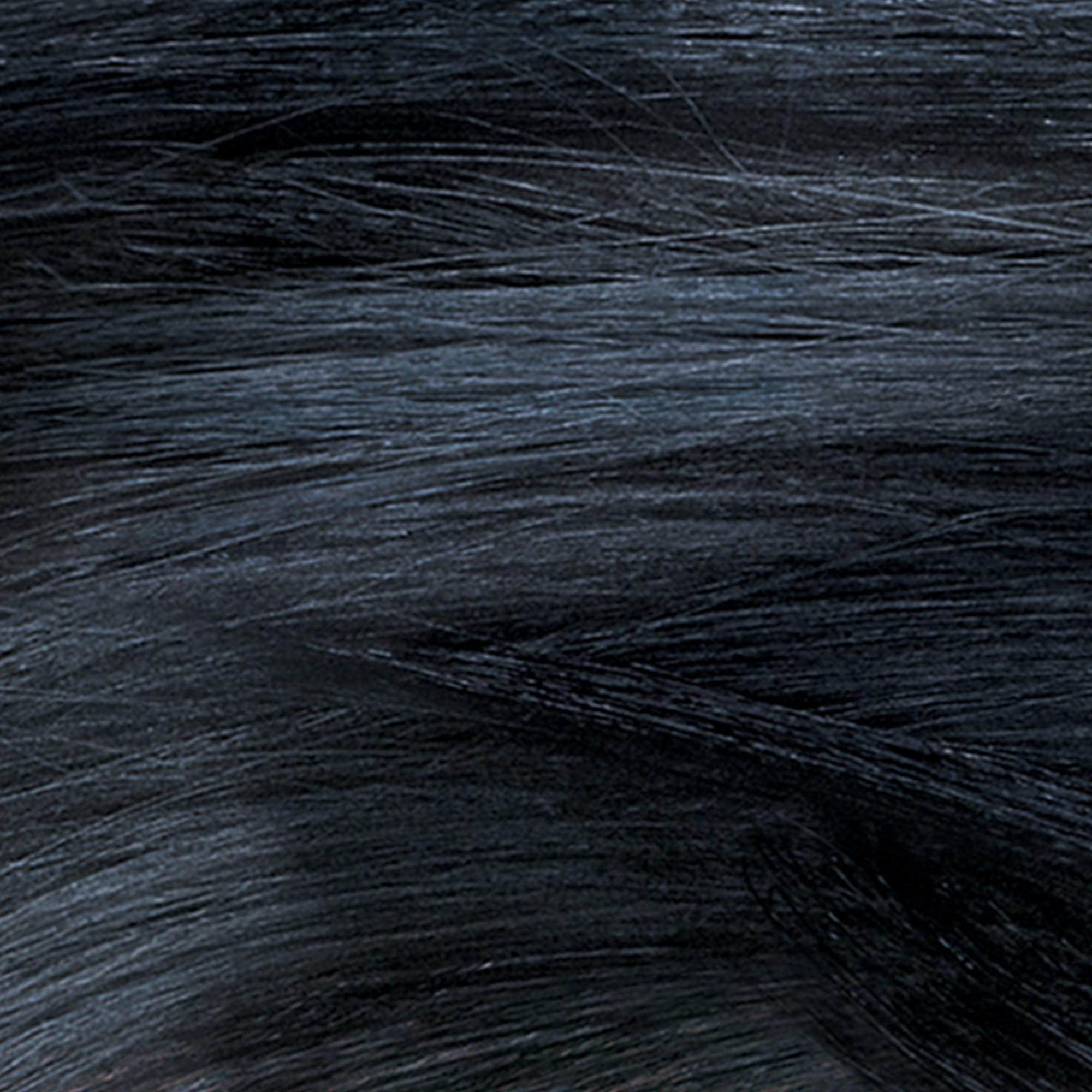 Revlon Colorsilk Beautiful Color Permanent Hair Dye, Dark Brown, At-Home  Full Coverage Application Kit, 12 Natural Blue Black, 1 count - Walmart.com