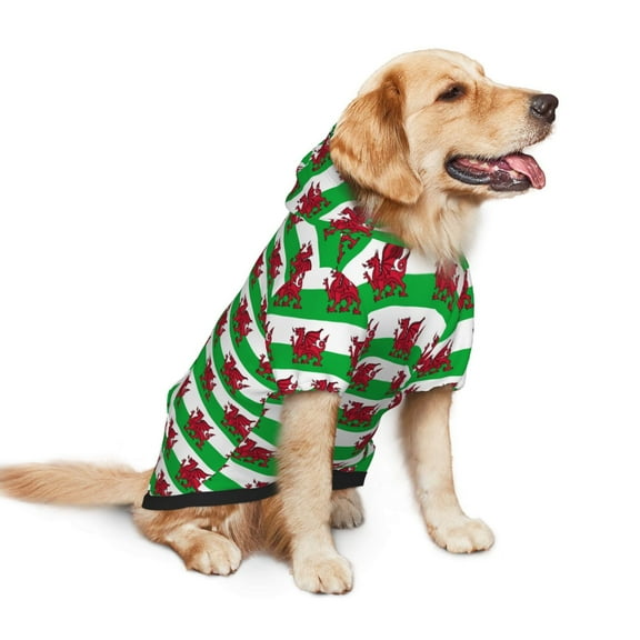 Welsh Flag Dog Hoodie Colorful Pullover Sweatshirts Small