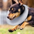 thumbnail image 4 of Koiauber Pet Recovery Collar Adjustable Dog Cat Neck Cone Soft Anti-Licking Protective Shield for Wound Healing, 4 of 8