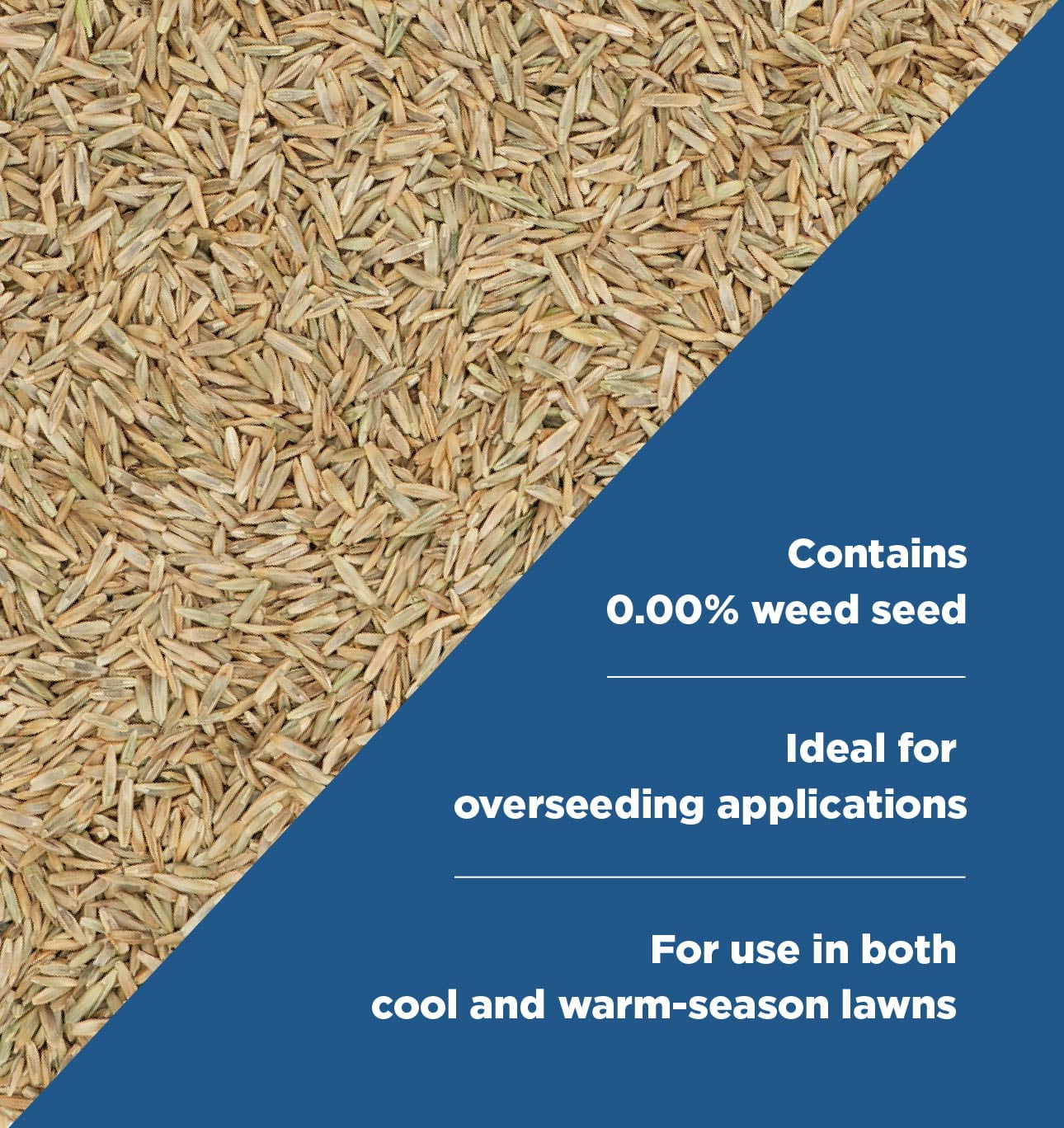 The Andersons Perennial Rye Blend Premium Grass Seed - 25lbs.