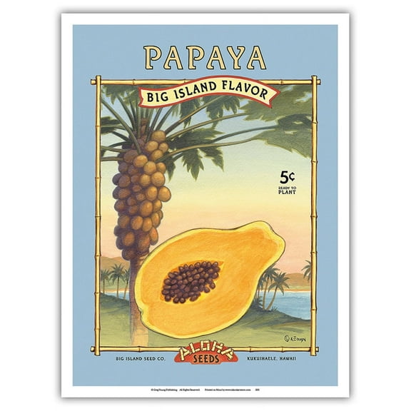 Papaya - Aloha Seeds - Big Island Seed Company - Big Island Flavor - Vintage Seed Packet by Kerne Erickson - Master Art Print (Unframed) 9in x 12in
