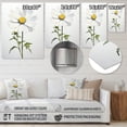 thumbnail image 4 of Designart "Sublime Simplicity with White Daisies II" Floral Metal Wall Art, 4 of 5