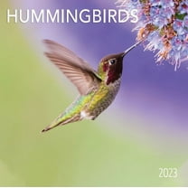 2023-12 Month Calendar- Hummingbirds 12x12 Hanging Wall Calendar by DaySpring
