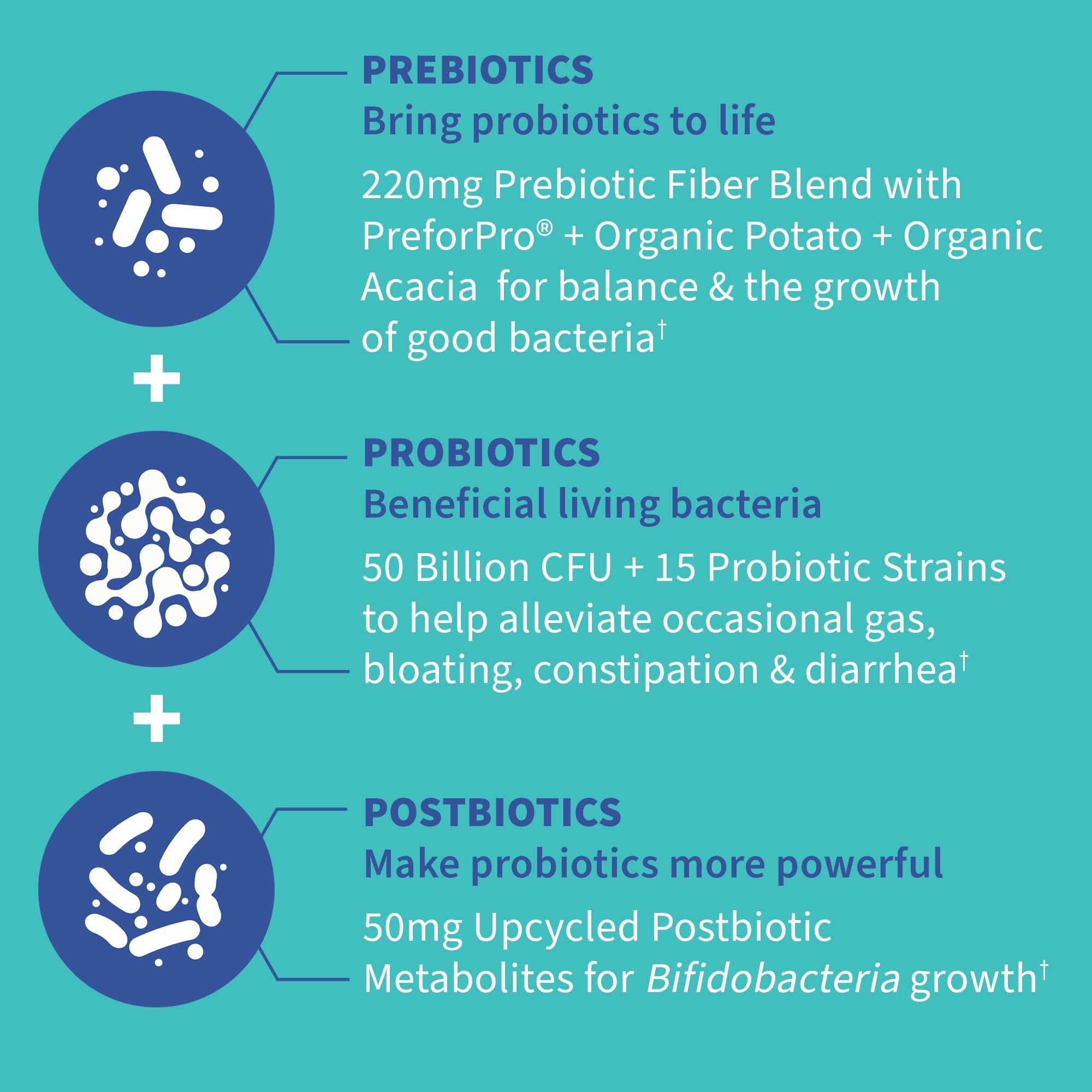 Garden of Life Dr Formulated Once Daily 3-in-1 Complete Prebiotics, Postbiotics & Probiotics for Women and Men - PRE + PRO + POSTBIOTIC Supplement for Gas & Bloating - 50 Billion CFU, 30 Day Supply