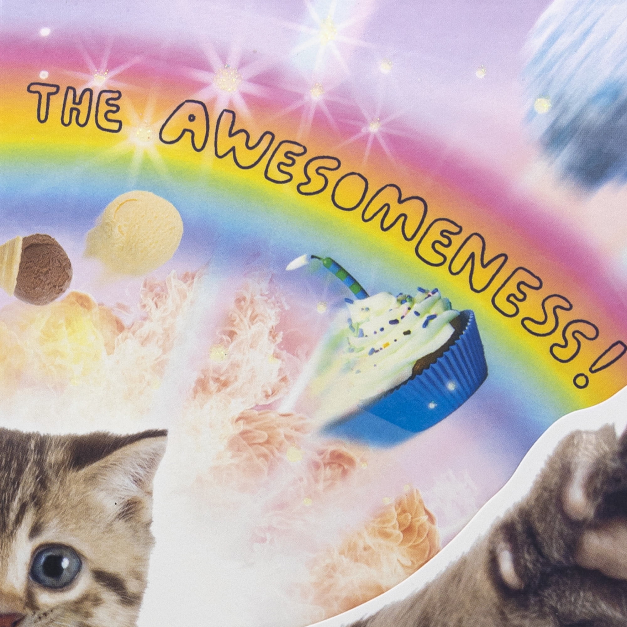 Hallmark Funny Pop-Up Birthday Card (Sunshine, Rainbows and Kittens)