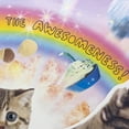 thumbnail image 4 of Hallmark Funny Pop-Up Birthday Card (Sunshine, Rainbows and Kittens), 4 of 7