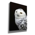 thumbnail image 2 of Epic Graffiti 'Snowy Owl' by Epic Portfolio, Giclee Canvas Wall Art, 12"x16", 2 of 8