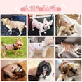 thumbnail image 4 of Dalrosia Cute Dog Dress for Small Dogs Girl Birthday Puppy Clothes Spring Summer Dog Outfits Rainbow Colorful Striped Cherry Princess Pet Tutu Skirt Doggie Cat Chihuahua Yorkies Dresses, 4 of 8