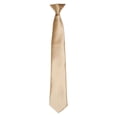 thumbnail image 1 of Premier Cravate en Satin pour Adulte, 1 of 1