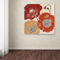 thumbnail image 3 of Trademark Fine Art "A Poppy's Touch II" Canvas Art by Daphne Brissonnet, 3 of 3