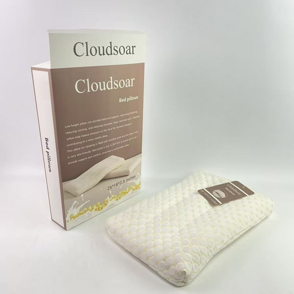 Cloudsoar Bed pillows,Thin Pillow for Stomach and Back Sleeper Low Pillow Flat Bed Pillow Flat Design Pillows Ultra Slim 2.5 Inches Deeper Sleep (Pack of 1)