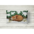 thumbnail image 2 of Carolines Treasures ASA2185PW1216 Naptime Fox Fabric Decorative Pillow 12H x16W multicolor, 2 of 3