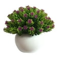 thumbnail image 1 of Planta artificial en maceta de plástico falso maceta de simulación de mesa Bonsai decoración del hogar Scienceny HA8763-00B, 1 of 6
