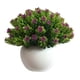 thumbnail image 1 of Planta artificial en maceta de plástico falso maceta de simulación de mesa Bonsai decoración del hogar Vogacara HA8763-00B, 1 of 6