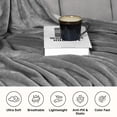 thumbnail image 5 of IR Imperial Rooms Fleece Bed Blanket 310 GSM Microfiber Lightweight Winter Blanket for Adult Warm Fluffy Cozy Plush Silver Queen Size, 5 of 13