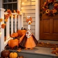 thumbnail image 4 of Thanksgiving Porch Goose Outfit with Turkey Headpiece, Autumn Harvest Bandana and Layered Tulle Skirt, Fall Yard Decor for Goose Statue, 11.8 inch Skirt, 4 of 7