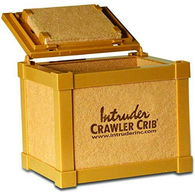 INTRUDER CrawlerCrib Nightcrawler Worm Bait Box, Keeps Bait Fresh, Packed  with Good N' Lively Worm Bedding, Small Medium Large Deluxe 