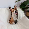 thumbnail image 1 of Juguete Patrón de doble cara Mascota Gato Perro Almohada Corgi Cheese Hound Simulación Muñeca AMMAO MXZZ23418A5215, 1 of 2