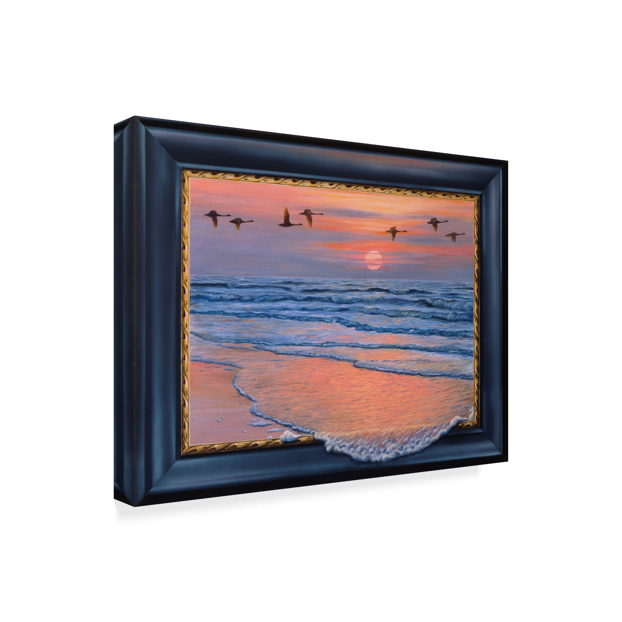 Trademark Fine Art 'Sundown With Swans' Canvas Art by Harro Maass