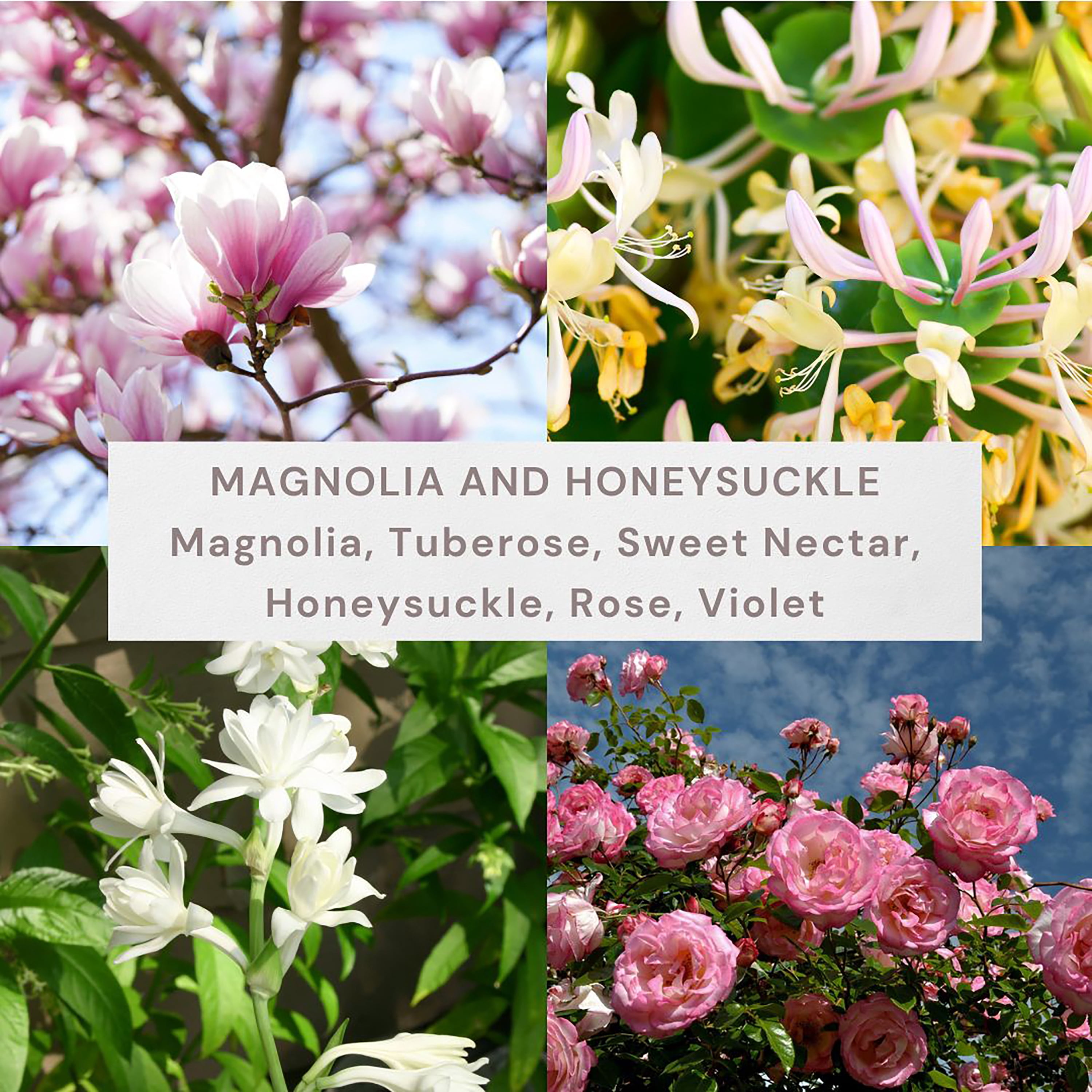 Better Homes and Gardens Magnolia and Honeysuckle Scented 2-Wick Ombre Jar Candle 18oz.