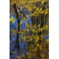 thumbnail image 2 of OBrien, Jay 11x14 Gold Ornate Wood Framed with Double Matting Museum Art Print Titled - Virginia, McLean Scenic in Great Falls SP, 2 of 4