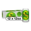 Seagrams Diet Zero Sugar Ginger Ale Soda Pop, 12 fl oz, 12 Pack Cans