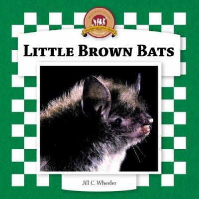 Pre-Owned Little Brown Bats (Bats Set II), 9781596793255, 1596793252, Paperback, Anniversary ed. edition