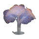 thumbnail image 2 of Decoración de Acuarios con Medusas Fluorescentes, Césped Acuático y Paisajismo., 2 of 6