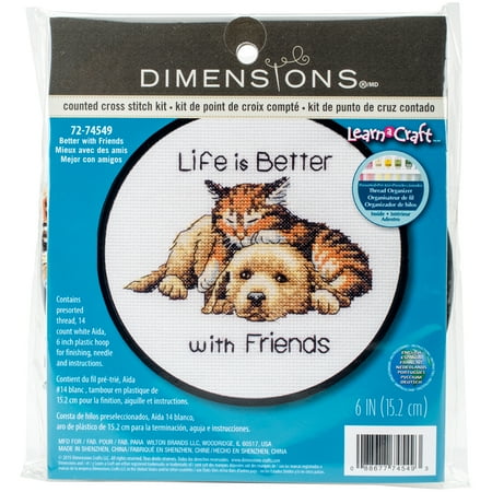 Counted Cross Stitch Backstitch - Learn-A-Craft Better with Friends Counted Cross Stitch Kit, 6
