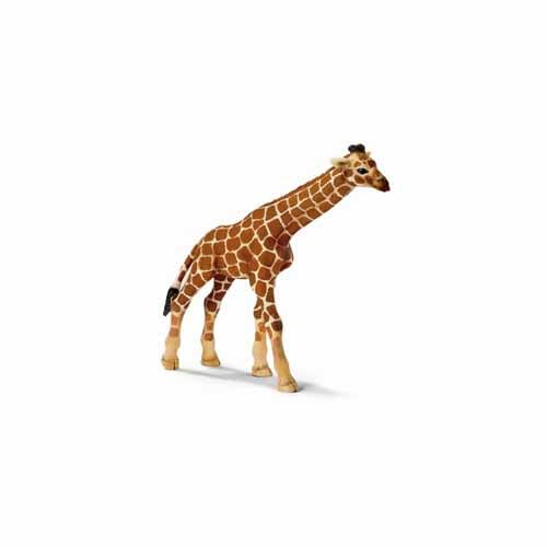 schleich wild life giraffe calf