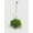 RhipsalisHB, variant on Rhipsalis Cashero Mistletoe Cactus - Live Air-Purifying Indoor Plant in Nursery Pot – Easy Care, Low Maintenance Houseplant for Home & Office Decor, Natural Air Cleaner, Best for Beginners (Small)